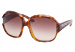 TortoiseBrownFaded