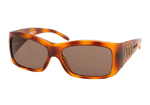 TortoiseBrown