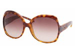 TortoiseBrownFaded