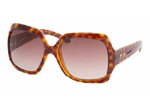 TortoiseBrownFaded