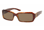 TortoiseBrown