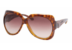 TortoiseBrownFaded